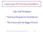 Liquid Argon TPC Activities at Fermilab etc