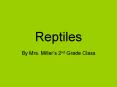 Reptiles PowerPoint PPT Presentation