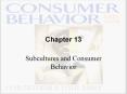 Subcultures and Consumer Behavior PowerPoint PPT Presentation