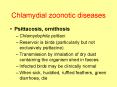 Chlamydial zoonotic diseases PowerPoint PPT Presentation