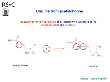 Choline from acetylcholine