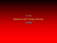 17.10%20Reaction%20with%20Primary%20Amines:%20Imines