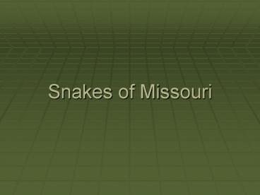 Snakes of Missouri