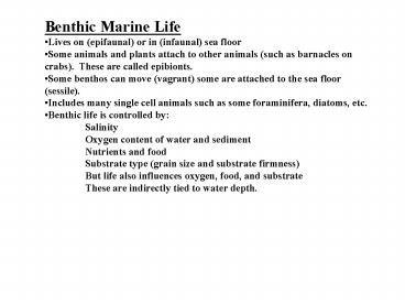 Benthic Marine Life