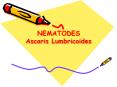 NEMATODES Ascaris Lumbricoides PowerPoint PPT Presentation