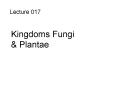 Kingdoms Fungi PowerPoint PPT Presentation