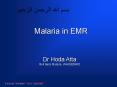 Dr Hoda Atta PowerPoint PPT Presentation