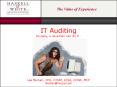 IT Auditing So easy, a caveman can do it PowerPoint PPT Presentation