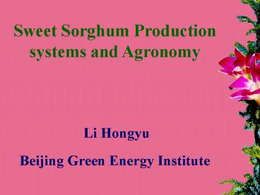 Sweet Sorghum Production systems and Agronomy