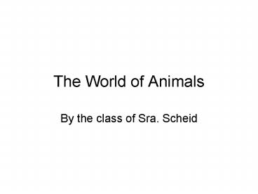 The World of Animals