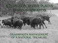 STURGEON RIVER PLAINS BISON STEWARDS PowerPoint PPT Presentation