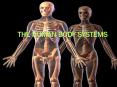 The Human Body Systems PowerPoint PPT Presentation