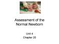 Assessment of the Normal Newborn PowerPoint PPT Presentation