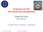 Sandro De Cecco