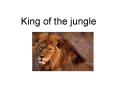 King of the jungle PowerPoint PPT Presentation