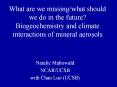 What are we missing/what should we do in the future? Biogeochemistry and climate interactions of mineral aerosols PowerPoint PPT Presentation