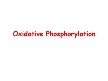 Oxidative Phosphorylation
