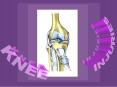 KNEE INJURIES PowerPoint PPT Presentation