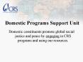 Domestic Programs Support Unit PowerPoint PPT Presentation