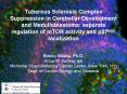 Tuberous Sclerosis Complex Suppression in Cerebellar Development and Medulloblastoma: separate regul PowerPoint PPT Presentation