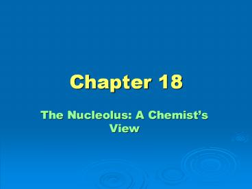 The Nucleolus: A Chemist