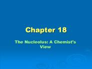The Nucleolus: A Chemist