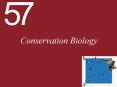 Conservation Biology PowerPoint PPT Presentation