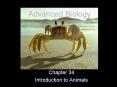 Advanced Biology PowerPoint PPT Presentation