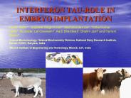 INTERFERON TAUROLE IN EMBRYO IMPLANTATION