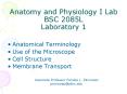 Anatomy and Physiology I Lab BSC 2085L Laboratory 1 PowerPoint PPT Presentation