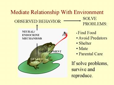Mediate Relationship With Environment