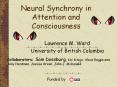 Neural%20Synchrony%20in%20Attention%20and%20Consciousness PowerPoint PPT Presentation
