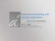 Biomedical Modelling with Clinical Applications