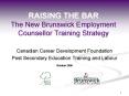 RAISING THE BAR The New Brunswick Employment Counsellor Training Strategy PowerPoint PPT Presentation