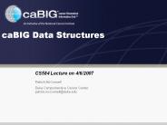 caBIG%20Data%20Structures