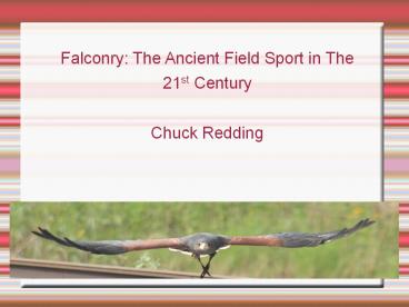 Falconry:%20The%20Ancient%20Field%20Sport%20in%20The%2021st%20Century