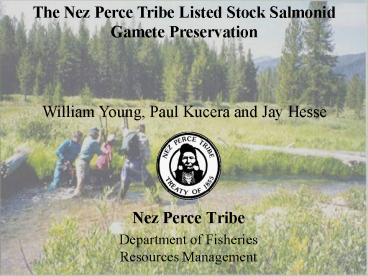 Nez Perce Tribe