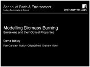 Modelling Biomass Burning Emissions and their Optical Properties