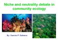 Niche and neutrality debate in community ecology PowerPoint PPT Presentation