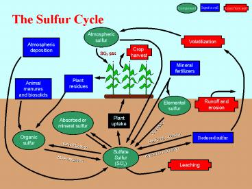 presentation player overlay
