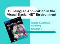 Building an Application in the Visual Basic 'NET Environment PowerPoint PPT Presentation