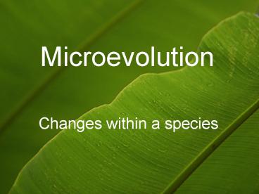 presentation player overlay