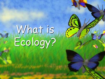 What is Ecology?