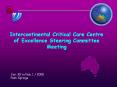 Intercontinental Critical Care Centre of Excellence Steering Committee Meeting PowerPoint PPT Presentation