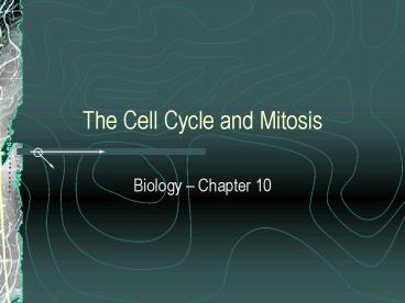 The Cell Cycle and Mitosis