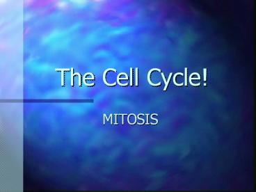 The Cell Cycle!