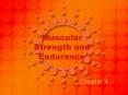 Muscular Strength and Endurance PowerPoint PPT Presentation