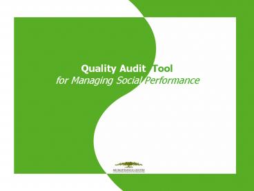 Quality Audit Tool for Managing Social Performance