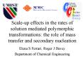 Scale-up effects in the rates of solution mediated polymorphic transformations: the role of mass transfer and secondary nucleation   Elena S Ferrari, Roger J Davey Department of Chemical Engineering PowerPoint PPT Presentation