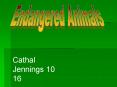 Endangered Animals PowerPoint PPT Presentation